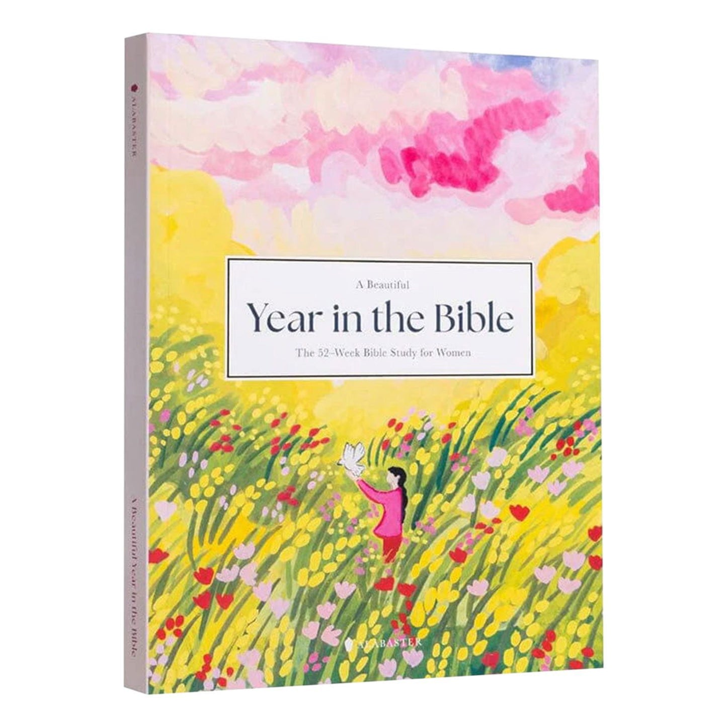 A Good Year in the Bible | 52-Week Bible Study Workbook for Women