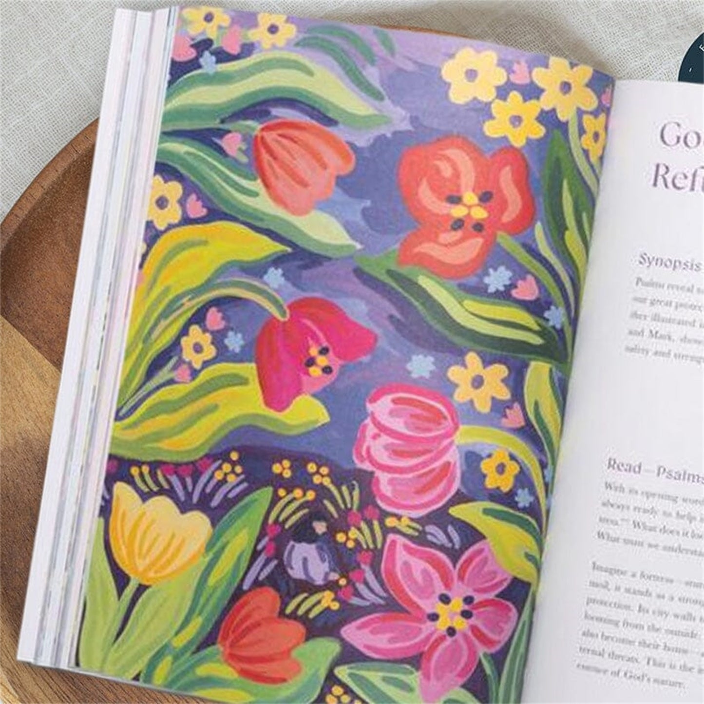 A Good Year in the Bible | 52-Week Bible Study Workbook for Women