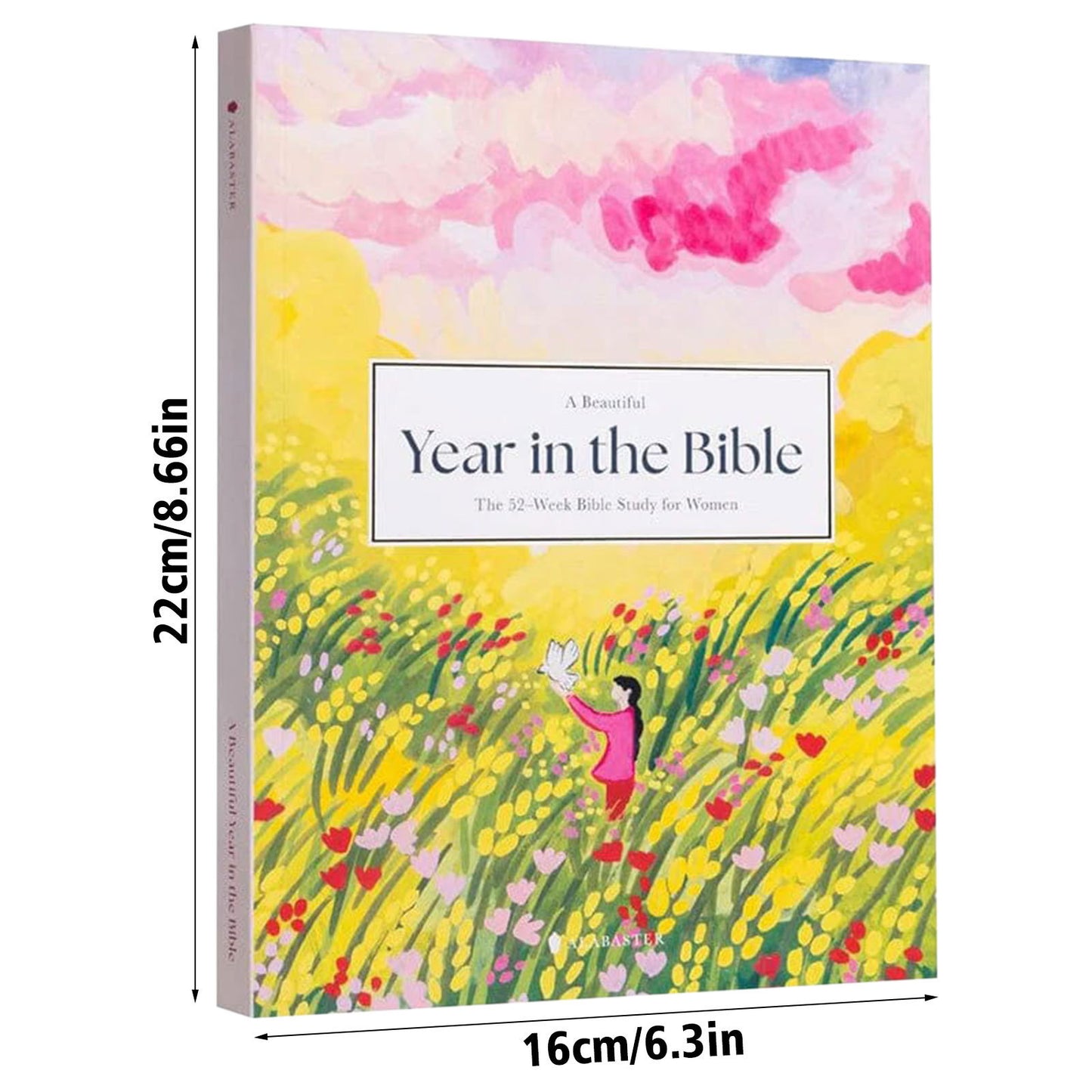 A Good Year in the Bible | 52-Week Bible Study Workbook for Women